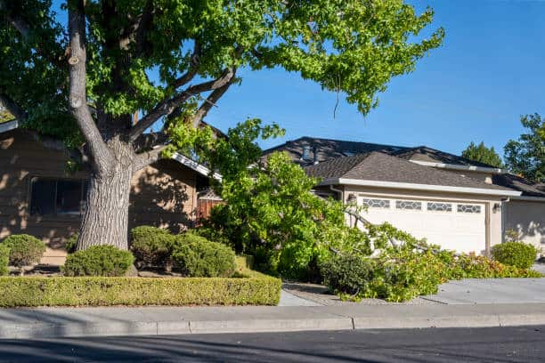 Emergency tree service 24/7 in Matthews, NC