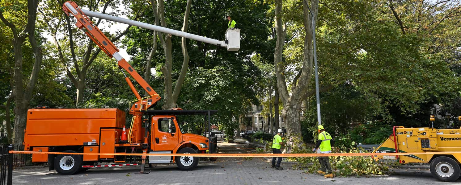 Land clearing services in Matthews, NC