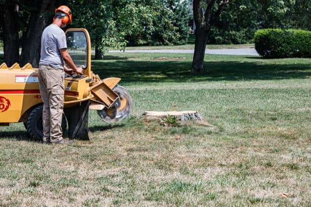 Stump grinding and removal in Matthews, NC